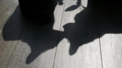 結婚する理由：寂しさを埋めるために結婚してもいいですか？